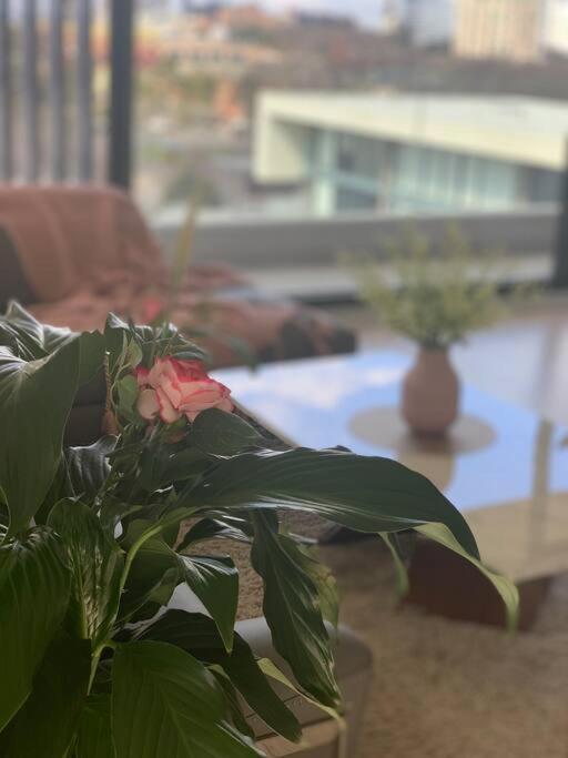 Carlton Stunning View Apartment 150M Away From University Of Melbourne Bagian luar foto